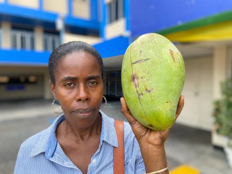 Credit: Ricardo Makyn Pauline Salmon-Reid holds up a massive mango next to her head on a visit The STAR’s North Street, Kingston, offices on Thursday.