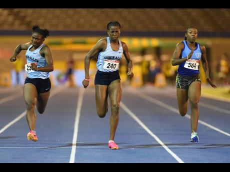 Credit: File Thieanna Lee Terrelonge