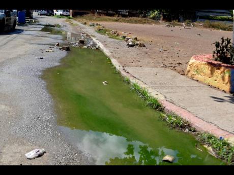 Credit: Kenyon Hemans Some of the raw sewage along Brooke Valley in St Andrew.