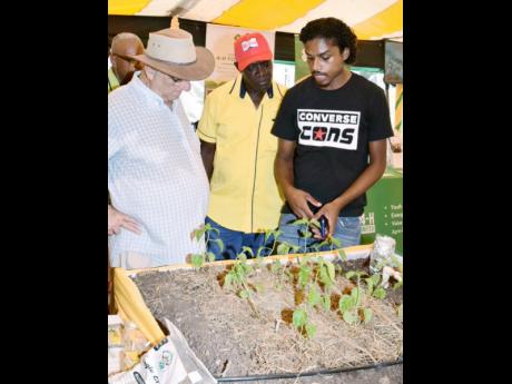 Custos Rotulorum for Clarendon, William Shagoury (left), listens as Clarendon 4-H Club member Javian Bassier (right), outlines the benefits of a smart irrigation system that he developed, during the 69th Denbigh Agricultural, Industrial and Food Show at the Denbigh Showground in Clarendon on August 6. Also listening is President, Kingston and St Andrew Association of Branch Societies of the Jamaica Agricultural Society, Albert Green.
