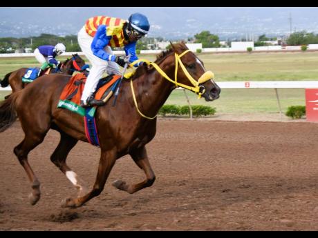 Jockey Javaniel Patterson guides BLUE VINYL to victory in the Temperence Oaks Trophy over seven furlongs for three-year-old and over Overnight Allowance Stakes at Caymanas Park in April.