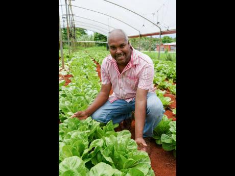 Christopher Brammer, a seasoned farmer with more than 15 years of experience.