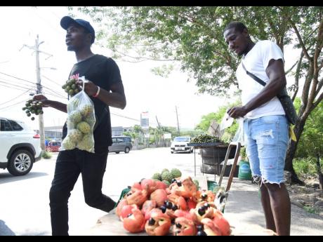 Vendors Odane (left) and Terry, who sell fruits in Clarendon Park, Clarendon, are fearful that they will lose their livelihood now that the new leg of the toll road is open. They are fearful that motorists will no longer traverse the ‘old road’ and patronise them.