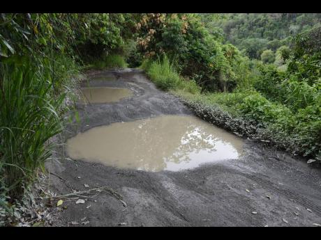 A section of the Hagley Gap to Ness Castle road in St  Thomas Western. 