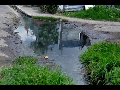 Credit: Kenyon Hemans Stagnant water in Wilton Gardens.