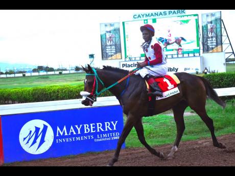IS THAT A FACT with jockey Reyan Lewis aboard strolls to the winners’ enclosure after capturing the POORLITTLERICHGIRL Trophy for three-year-old and upwards Open Allowance Stakes over seven furlongs at Caymanas Park last Saturday. It was Lewis’ fourth of five winners on the 10-race card.