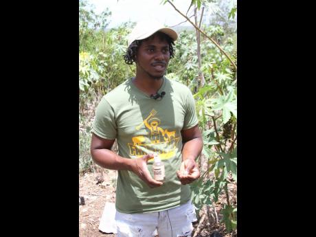 FarmBwoy Dave Meikle