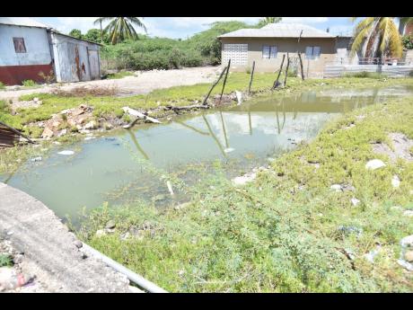 Residents of Rocky Point fear that stagnant water will increase the possibility of the dengue virus spreading.