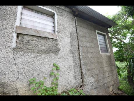 Credit: Ian Allen A huge crack in the wall of Penny’s home in Cottage Hill, shows the extent of the quake’s power.