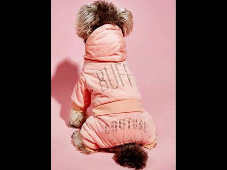 One of the eye-catching doggie outfits that Thomas sells from her online-based store, Pawsome Fashionistas.