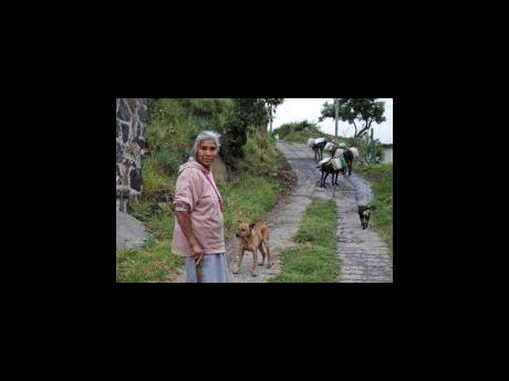 Emilia Segura pauses for a portrait as she walks with her dogs and four donkeys carrying water she collected at a public well in Pueblo Santa Cruz Acalpixca, Xochimilco, on the outskirts of Mexico City, on October 7. Segura, 62, has been selling water daily for over a decade with the help of her four donkeys. 