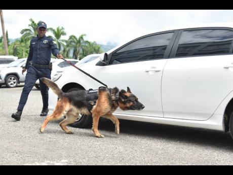 Twenty-three dogs have been added to the Jamaica Constabulary Force’s Canine Division. The dogs were handed over during a ceremony at the Office of the Commissioner of Police, 103 Old Hope Road, St Andrew, on Friday.