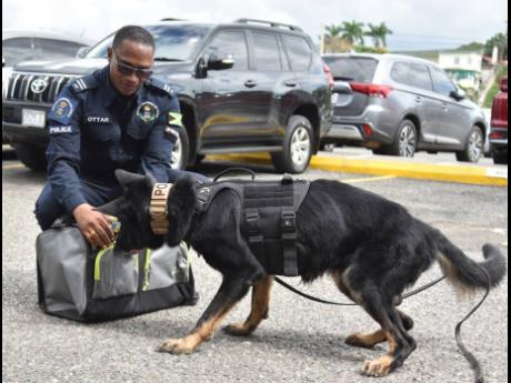 Inspector Gregory Ottar, chief canine trainer, demonstrates how police dog Avicci searches for drugs and other contrabands.