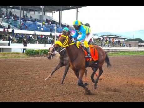 RHYTHM BUZZ, ridden by Javaniel Patterson, staves off the challenge of Sonny T AND CHIPPY to win the Bonnie Blue Flag Trophy for three-year-old and upwards restricted overnight allowance Stakes over six and a half furlongs at Caymanas Park on Sunday.