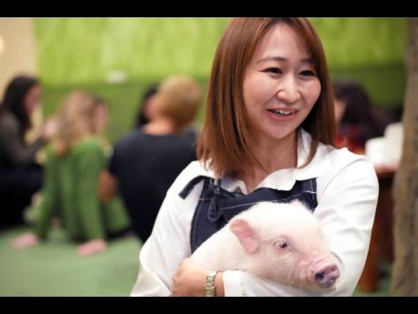 Shiho Kitagawa, an executive at a Mipig Café, cuddles with a pig.
