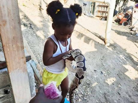 Three-year-old Raynia pets one of the snakes.