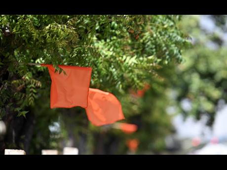 These orange flags have been mounted to showcase allegiance to the People’s National Party. 
