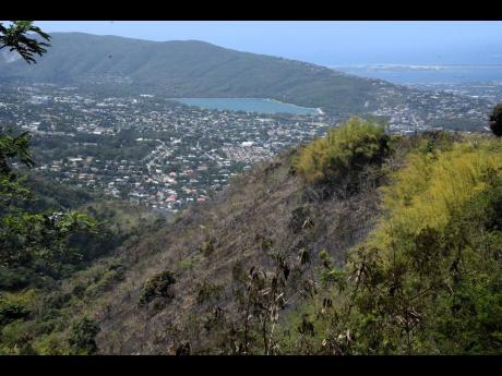 Credit: Ian Allen A hillside in Jacks Hill that was left bare from a bushfire early Wednesday morning.