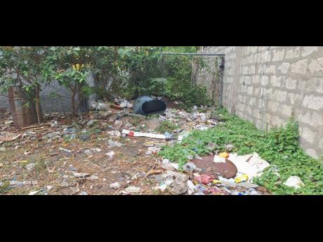 Garbage covers a section of the compound of the Seaview Gardens Primary School.