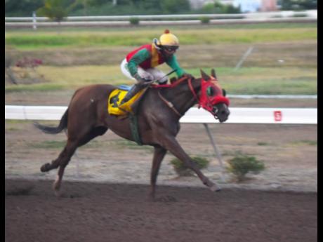 UNCAPTURED EMPRESS, ridden by Omar Walker, wins the Independence Day Stakes Trophy over seven furlongs at Caymanas Park in August.