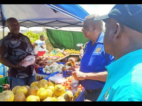 Franklin Witter (centre), minister of state in the Ministry of Agriculture, Fisheries and Mining, and Delroy Luke (right), parish manager for the Rural Agricultural Development Authority, St Ann, converse with farmer Hector White during the 10th staging of the St Ann Agricultural, Industrial and Food Show, which was held at the Port Rhoades Sports Complex in Discovery Bay.