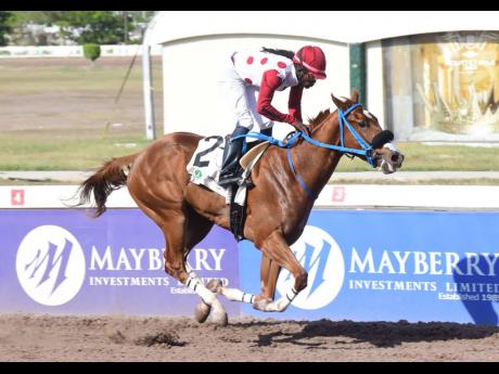 CALIFORNIA CROWN, ridden by Robert Halledeen, wins the second running of the Monday Morning Trophy at Caymanas Park  on Sunday.