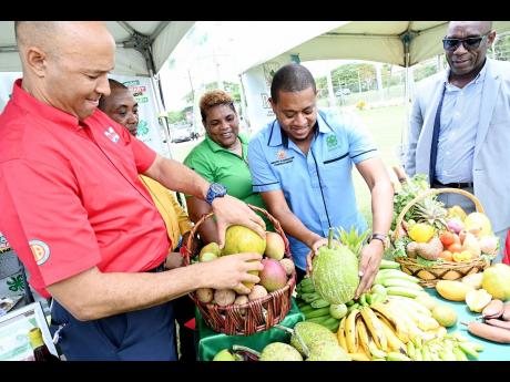 Floyd Green (second right) minister of agriculture, fisheries and mining, looking at some produce with (from left) Col Jaimie Ogilvie, vice president of Hi-Pro; Peter Thompson, executive director of Jamaica 4-H Clubs; Charlene Marshall, eastern regional manager, 4-H Clubs; and Derron Grant, CEO of Jamaica Agricultural Society, at the launch of the Denbigh 70th Agricultural, Industrial and Food Show at Hi-Pro’s head office in White Marl, St Catherine, on Friday. 