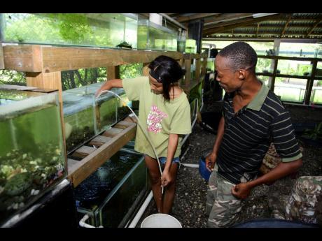 Mattis shows his summer intern Michaela Morgan how much water needs to be added to each fish tank.