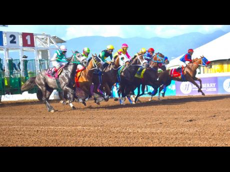 The horses leave the starting gates for the  MR LOVER LOVER  Trophy race over nine furlongs and 25 yards on Saturday, June15, 2024 at Caymanas Park. 