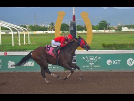 FRED THE GREAT, ridden by Tevin Foster, wins the Bigman In Town Trophy over a mile,  an overnight allowance stakes event, at Caymanas Park on Saturday, July 20, 2024.
