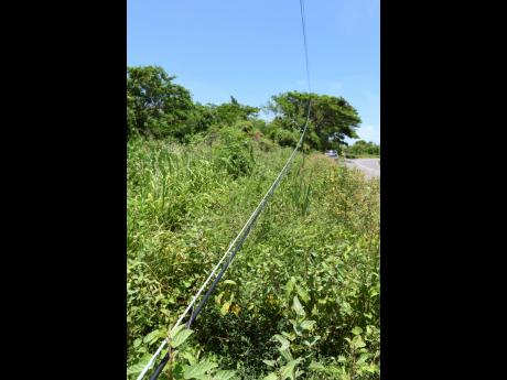 Downed power lines are spotted in the Salt River community of Clarendon. Residents are appealing to the Jamaica Public Service for the speedy return of electricity due to an increase in criminal activity, which they say is caused by the lack of electricity.
