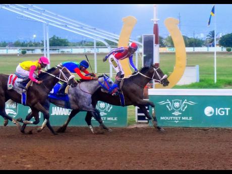 CROWN CHASER (right) ridden by  Shane Ellis, wins the 104th running of  the Jamaica Derby over 12 furlongs at Caymanas Park yesterday.