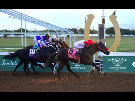 Anthony Minott/Photographer 
NORBLAR (No.8), ridden by Raddesh Roman, wins the eighth race at Caymanas Park on Saturday.