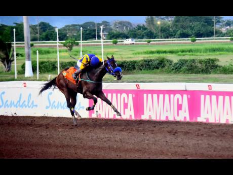 SMALL BOSS, ridden by Tevin Foster, winning the 11th race over 6 1/2 furlongs at Caymanas Park on Saturday.