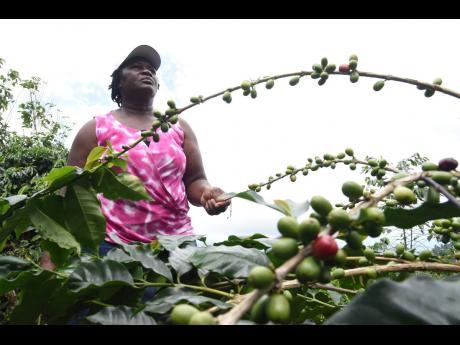 Credit: Ian Allen McDonald has been farming since age 17.
