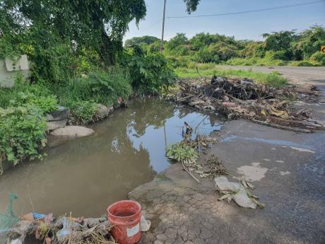 Credit: Simone Morgan-Lindo Seaview Gardens has been plagued by stagnant water and debris, creating a potential health hazard for members of the St Andrew community.