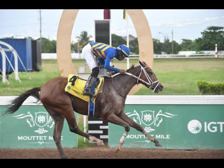 Credit: Anthony Minott IMMEASURABLE JOY, ridden by Tevin Foster, winning the fifth race over 5 1/2 furlongs at Caymanas Park on Sunday, October 20.