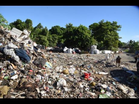 Credit: Ian Allen A section of the Church Corner dump in Morant Bay, St Thomas.