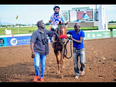 OIL MACHINE, with Raddesh Roman aboard, being led to the winners’ enclosure after winning the fifth race over a mile at Caymanas Park on Saturday, December 28, 2024. The event was a three-year-old and upwards Restricted Allowance Stakes.