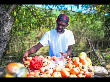 Clarendon vendor Andrew Williams yearns for the day when traffic will return to the Toll Gate main road.