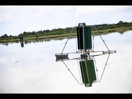 Credit: File The Greater Portmore Ponds Wastewater Treatment Plant.