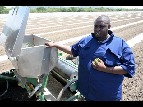  Bajoo Farm is helping to revolutionise agriculture in Jamaica.
