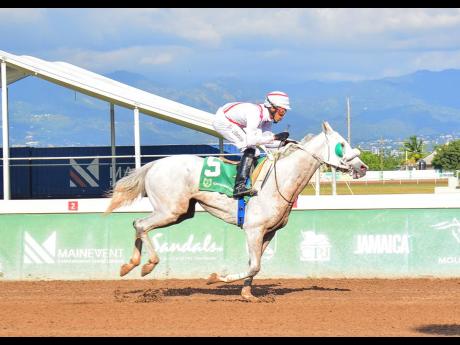 GOLDEN SYRUP, ridden by Shane Richardson and  running at long odds of 23-1, wins the sixth race at Caymanas Park on Saturday, March 8, 2025.