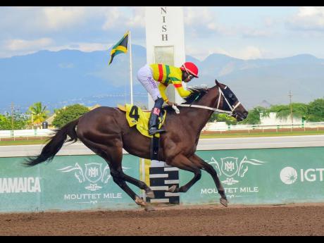 COMMANDANT, ridden by Raddesh Roman, wins the Alexander Hamilton Memorial Trophy over seven furlongs at Caymanas Park on Saturday.