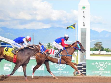 Credit: Anthony Minott SHE’S DALLAS LOVE (right), ridden by Oneil Mullings, wins the eighth race at Caymanas Park on Saturday, March 15, 2025.