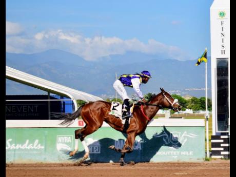 SUMMER PALACE, ridden by Robert Halledeen, winning the seventh race over 5 1/2 furlongs at Caymanas Park on Sunday, March 23.