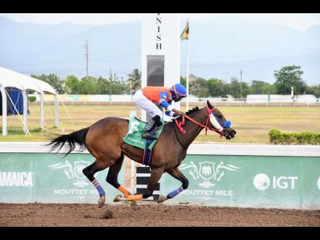 Credit: Anthony Minott LET HIM FLY, ridden by Omar Walker, wins the fourth race over 6 1/2 furlongs at Caymanas Park on Sunday, June 8.