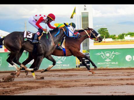 Credit: Anthony Minott GIRVANO (left), ridden by Raddesh Roman, got the win in the Stewarts room, as first past the post NEPHEW (right) (Trevor Simpson aboard) was disqualified and placed third in Race 5, Series 2, of the BGLC-TOBA Millionaires Series for three-year-old and upwards Restricted Allowance Stakes at Caymanas Park on Sunday.