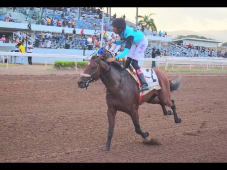 Leading jockey, Raddesh Roman, completes a five timer at Caymanas Park on Saturday aboard 5-2 favourite MONEY BOX.