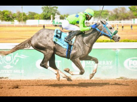 ALCHEMY OF SOULS, ridden by Reyan Lewis, wins the John Clifton Wright Memorial Cup over six furlongs at Caymanas Park on Sunday, July 13, 2025. 